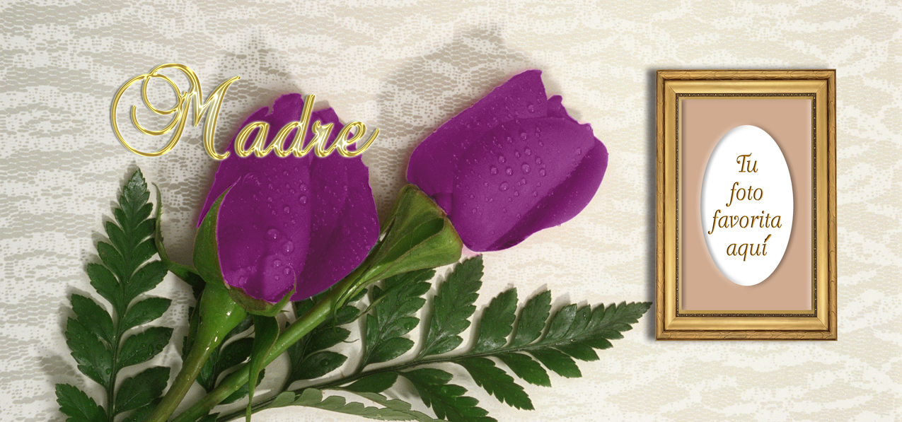 2 Roses Orchid Gold Madre (Spanish)